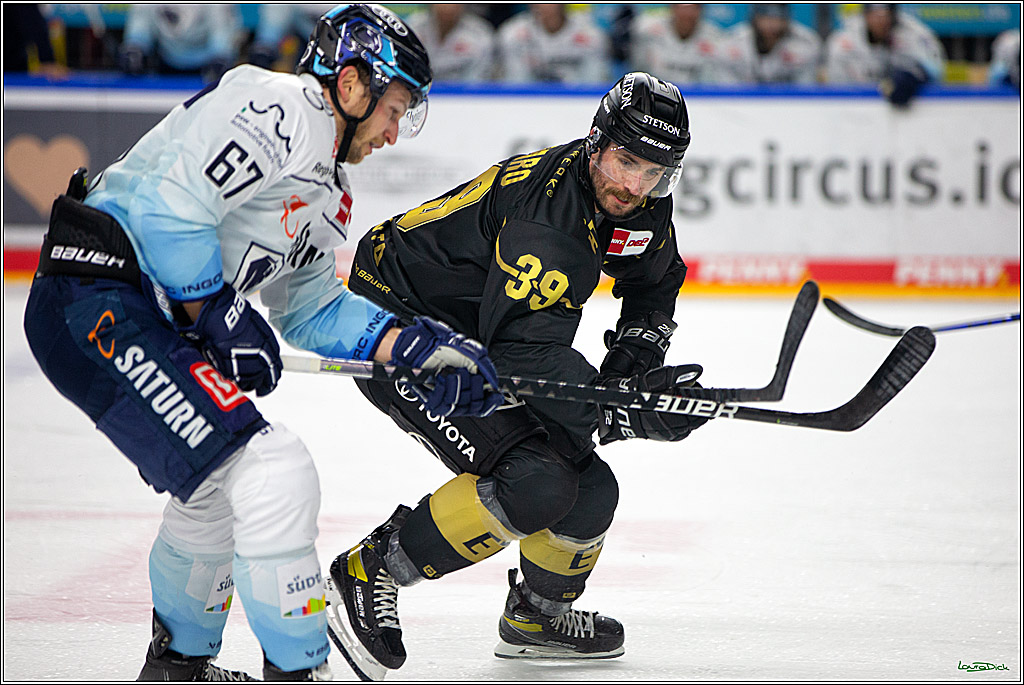 PENNY DEL;  Kölner Haie - ERC Ingolstadt; Köln, 25.11.2022
